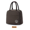 brown insulated lunch tote bag for women to work simple design with zipper pocket