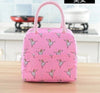 Waterproof Thermal Insulated stylish Lunch Bag For Women And Girl