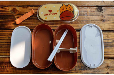 Cute Plastic Bento Lunch Boxes for Kids, Double Decker, 600ml