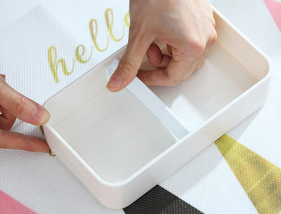 Double Decker Bento Lunch Boxes for Adults and Kids, Japanese Style